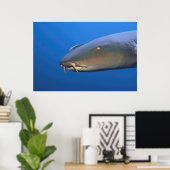 Nurse Shark met Hitchhiker Poster (Thuiskantoor)