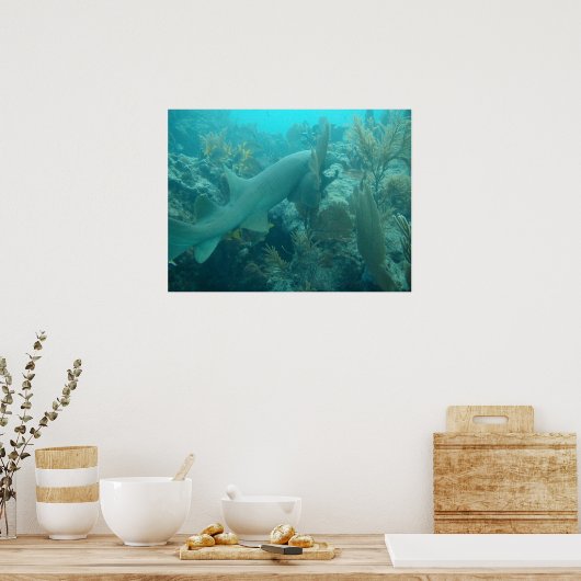 Nurse Shark Poster (Keuken)