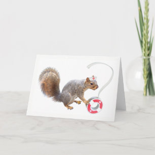 Nurse Squirrel Kaart