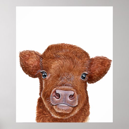 Nursery Art Red Highland Koe Calf Poster (Voorkant)