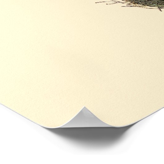 Nursery Poem van Lewis Carroll Poster (Hoek)