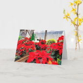 Nursery poinsettias kaart (Gele Bloem)