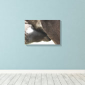 Nursing Foal Canvas Afdruk (Insitu (Houten vloer))