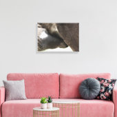 Nursing Foal Canvas Afdruk (Insitu (Woonkamer))