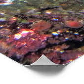 Nusa Lembongan Lionfish Poster (Hoek)