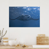 Nusa Penida Manta Poster (Keuken)