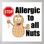 Nut Allergy Alert Poster (Voorkant)