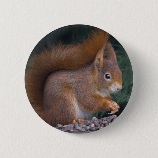 Nut Brunch Badge Ronde Button 5,7 Cm (Voorkant)
