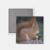 Nut Brunch Magnet (Voorkant / Achterkant)