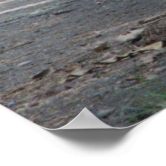 Nut in Oklahoma Poster (Hoek)