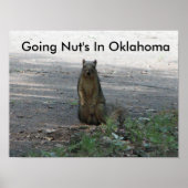 Nut in Oklahoma Poster (Voorkant)