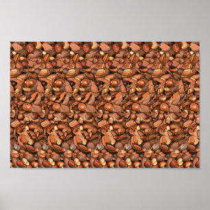 Nutcracker Squirrel - Verborgen 3D-druk Poster