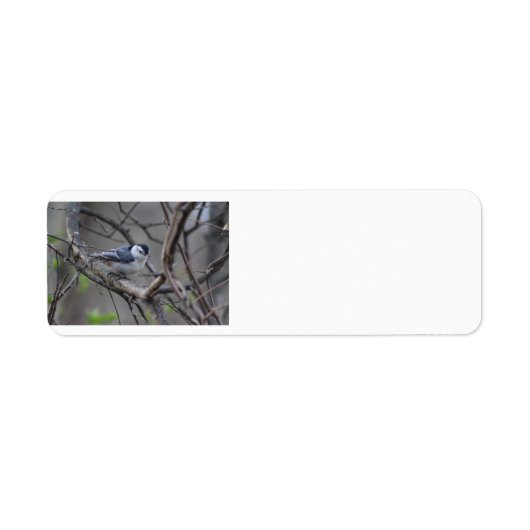 Nuthatch-adreslabel Etiket (Voorkant)