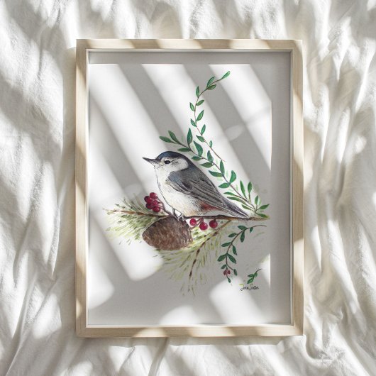 Nuthatch Bird Art Print
