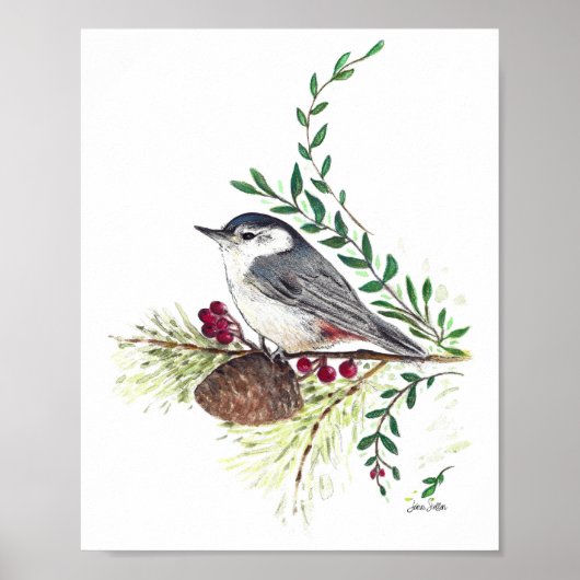 Nuthatch Bird Art Print (Voorkant)
