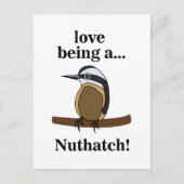 Nuthatch Bird Backyard Birder Birdwatcher Briefkaart (Voorkant)