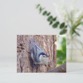 Nuthatch Bird Briefkaart (Staand voorkant)