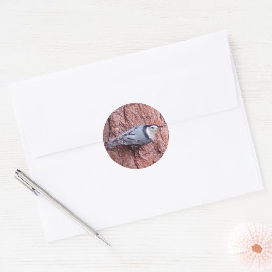 Nuthatch Bird Stickers (Envelop)