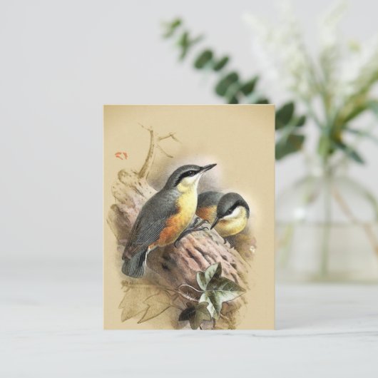  Nuthatch Birds Briefkaart (Staand voorkant)