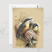 Nuthatch Birds Briefkaart (Voorkant / Achterkant)