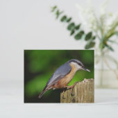 Nuthatch Briefkaart (Staand voorkant)