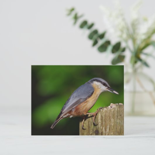 Nuthatch Briefkaart (Staand voorkant)