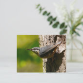 Nuthatch Briefkaart (Staand voorkant)