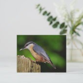 Nuthatch Briefkaart (Staand voorkant)