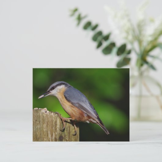 Nuthatch Briefkaart (Staand voorkant)