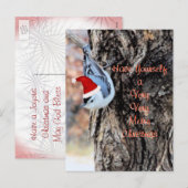 Nuthatch briefkaart-past Vrolijke Kerstmis aan Feestdagenkaart (Voorkant / Achterkant)