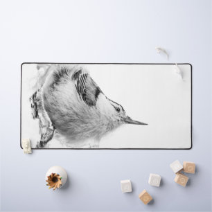 Nuthatch, Canadese vogelfotografie Bureaumat