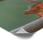 Nuthatch collage poster (Hoek)