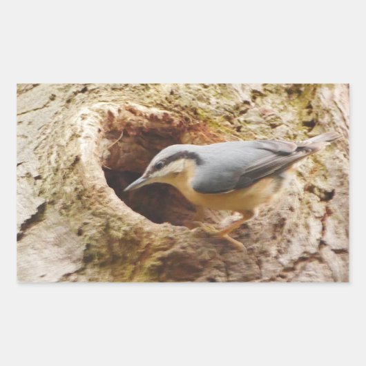 Nuthatch en Woodpecker Hole Sticker (Voorkant)