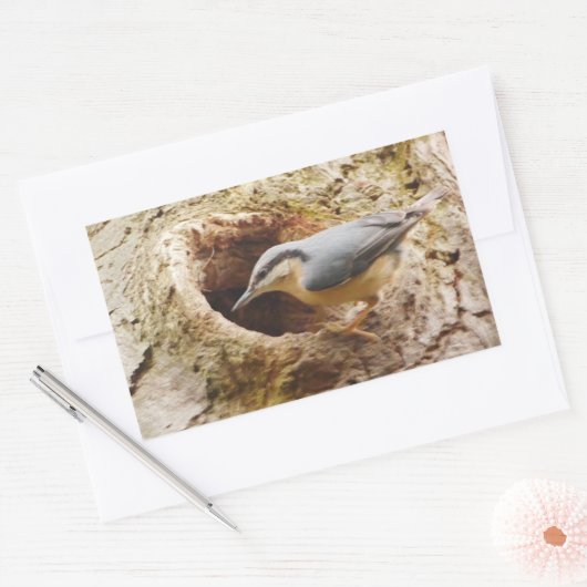 Nuthatch en Woodpecker Hole Sticker (Envelop)