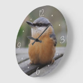 Nuthatch foto grote klok (Hoek)