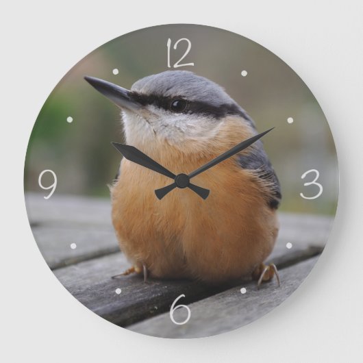 Nuthatch foto grote klok (Voorkant)