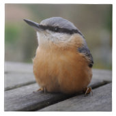 Nuthatch foto tegeltje (Voorkant)