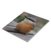 Nuthatch foto tegeltje (Zijkant)