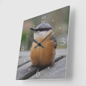 Nuthatch foto vierkante klok (Hoek)
