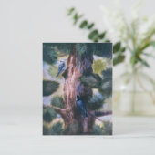 Nuthatch Love op First Sight Briefkaart (Staand voorkant)