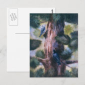 Nuthatch Love op First Sight Briefkaart (Voorkant / Achterkant)