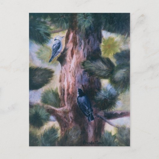 Nuthatch Love op First Sight Briefkaart (Voorkant)