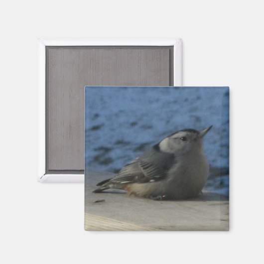 Nuthatch Magneet (Voorkant / Achterkant)