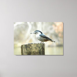 Nuthatch met Zonnebloempitten Natuur Print