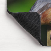 Nuthatch Mousepad Muismat (Hoek)