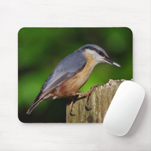 Nuthatch Mousepad Muismat (Met muis)