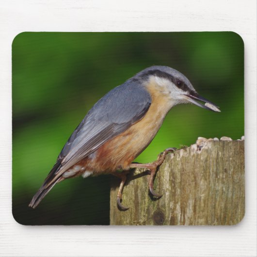 Nuthatch Mousepad Muismat (Voorkant)