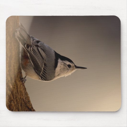 Nuthatch_Mousepad Muismat (Voorkant)