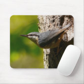 Nuthatch Muismat (Met muis)