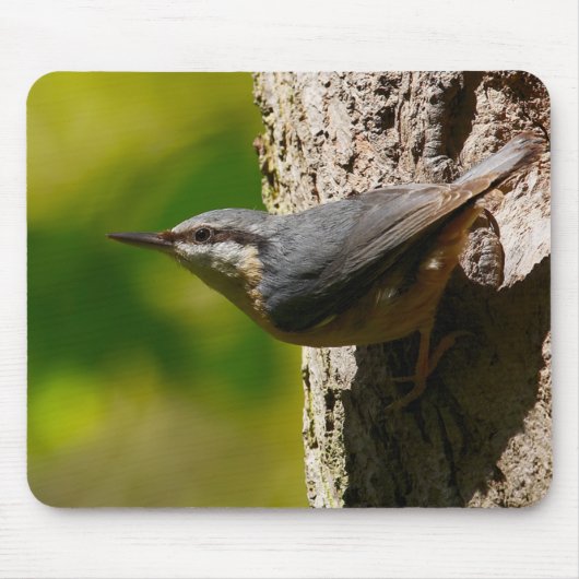 Nuthatch Muismat (Voorkant)